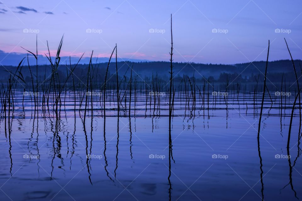 Serene lake after the rain. Serene and misty summer lake in Nokia, Finland after heavy rain storm in late evening during a blue hour.