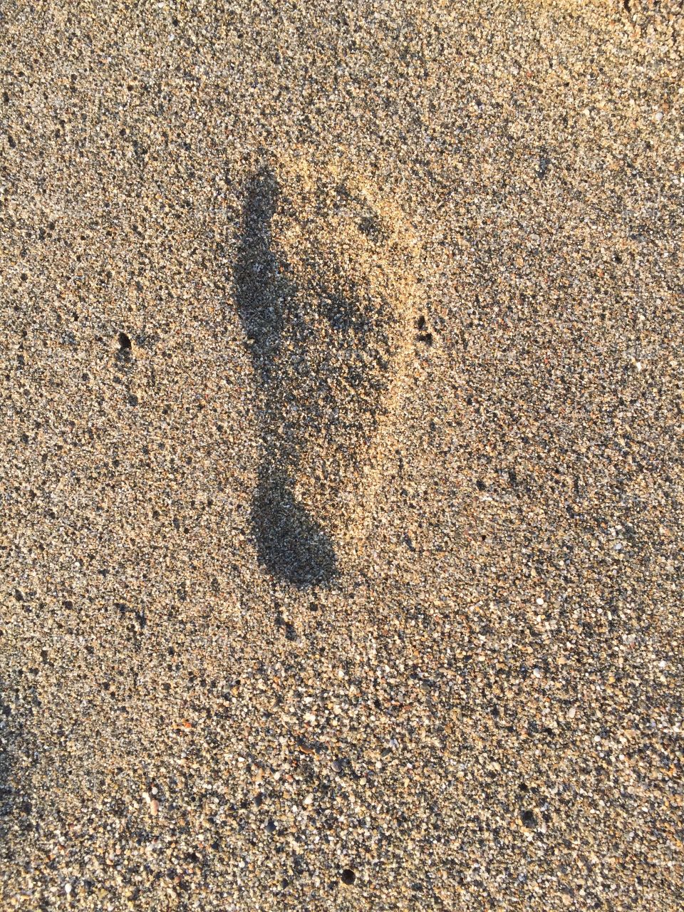 Footprint on the sand 