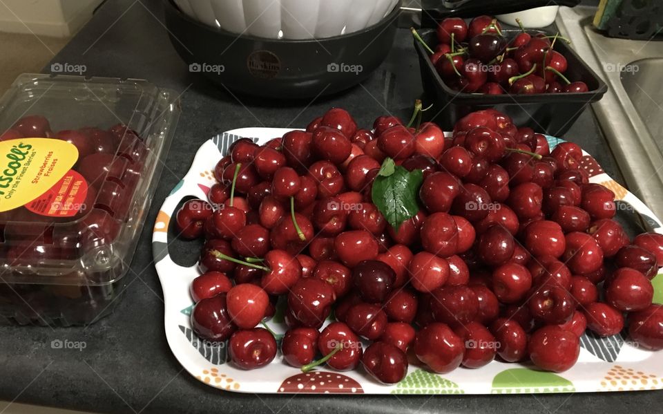 Fresh juicy red cherries directly from the trees from a cherry orchard in Brentwood, CA