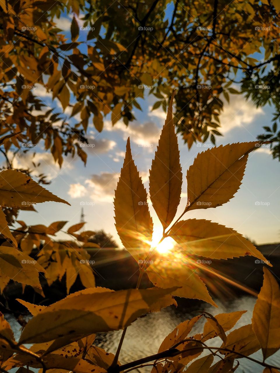 The warm and sunny autumn evening