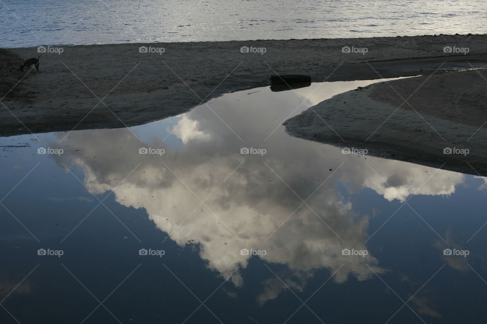 reflecting sea horizon. Sandy beach and reflection of a sky and clouds in the river that is run in the sea