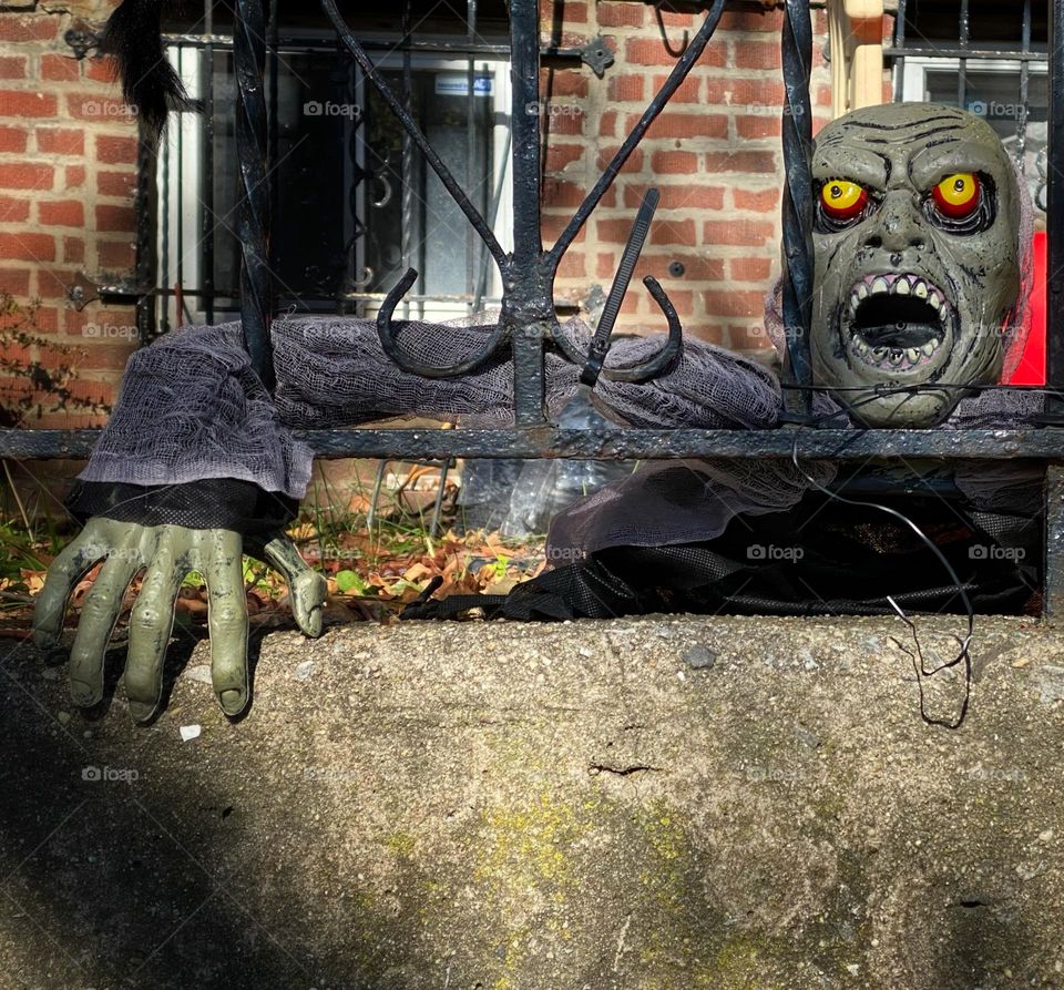 Zombie crawling out of the ground in someone’s front yard