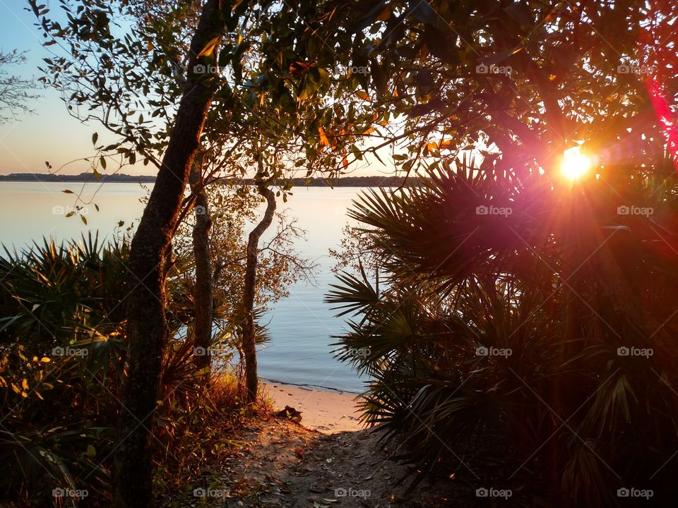 Pathway to the Beach