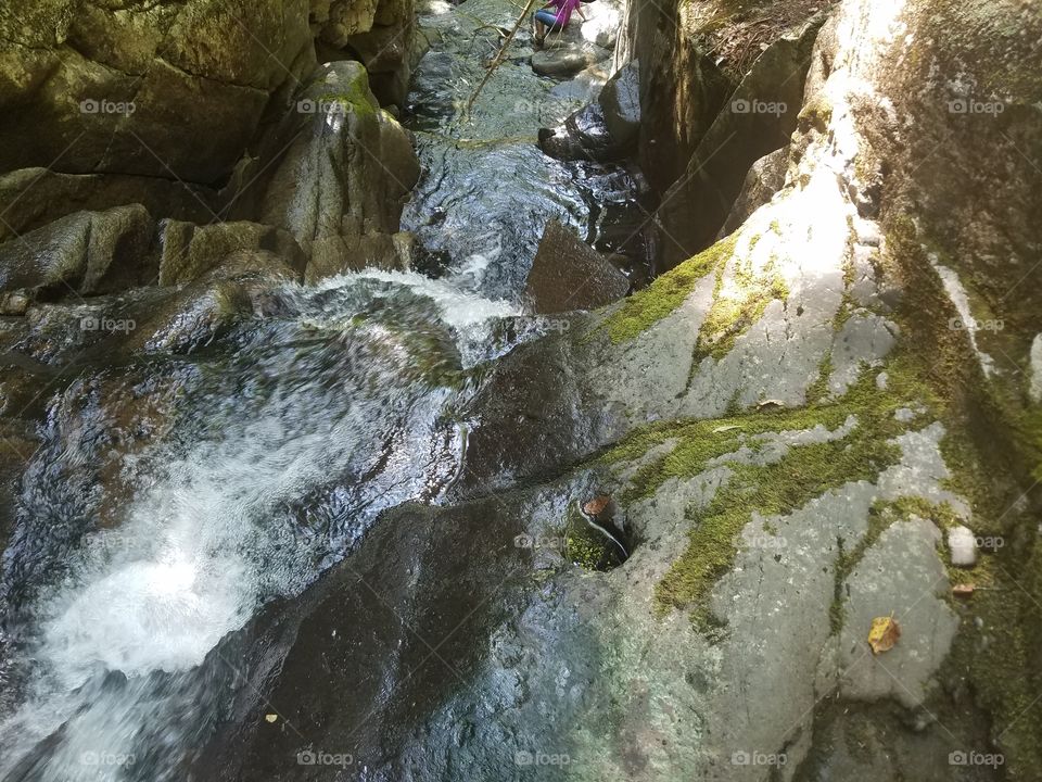 View of flowing stream