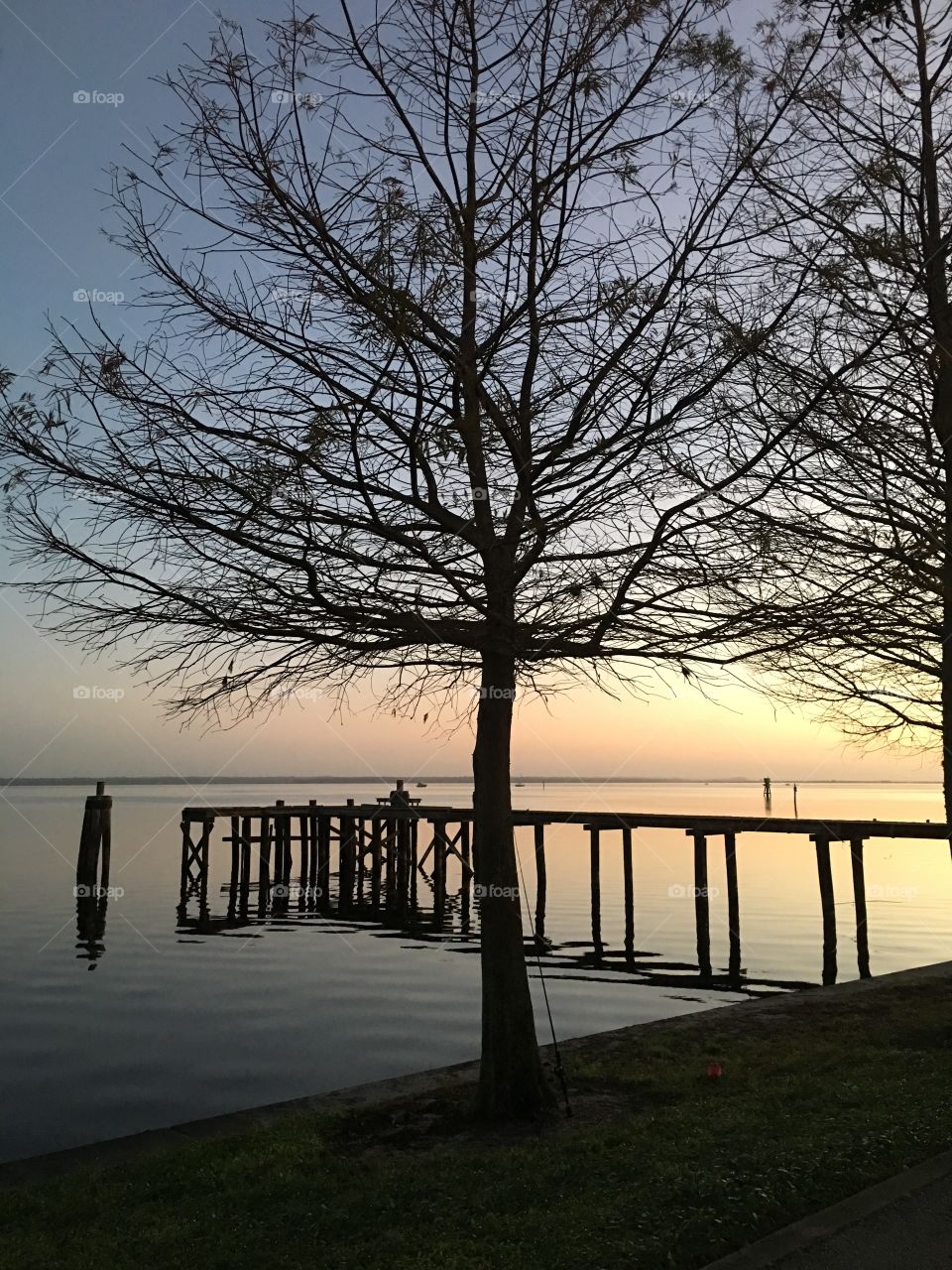 Dawn, No Person, Landscape, Tree, Water