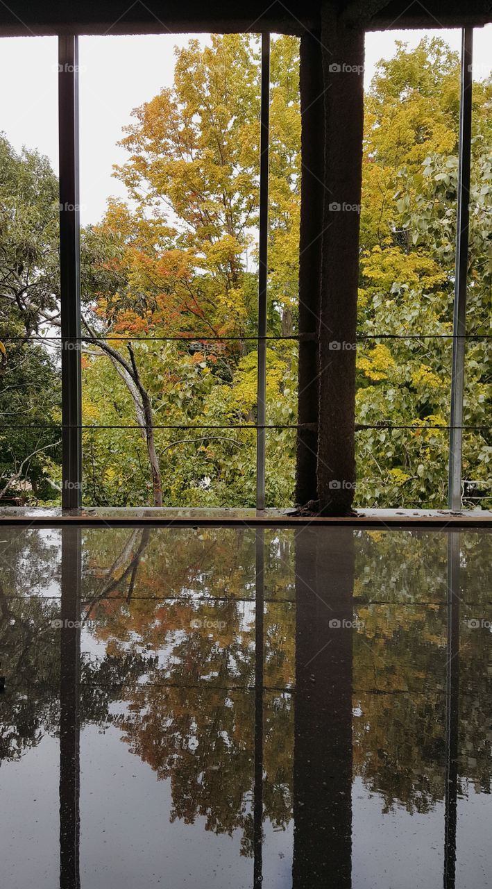 a good sample of fall