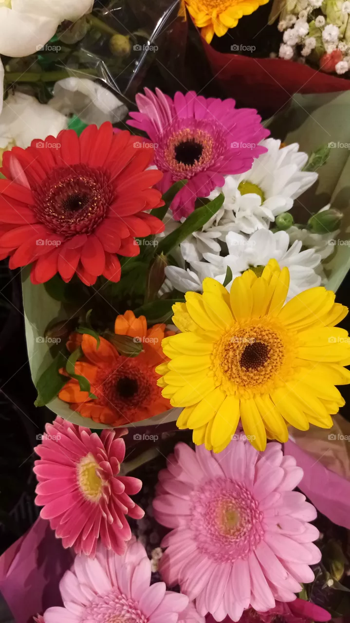 Blumen