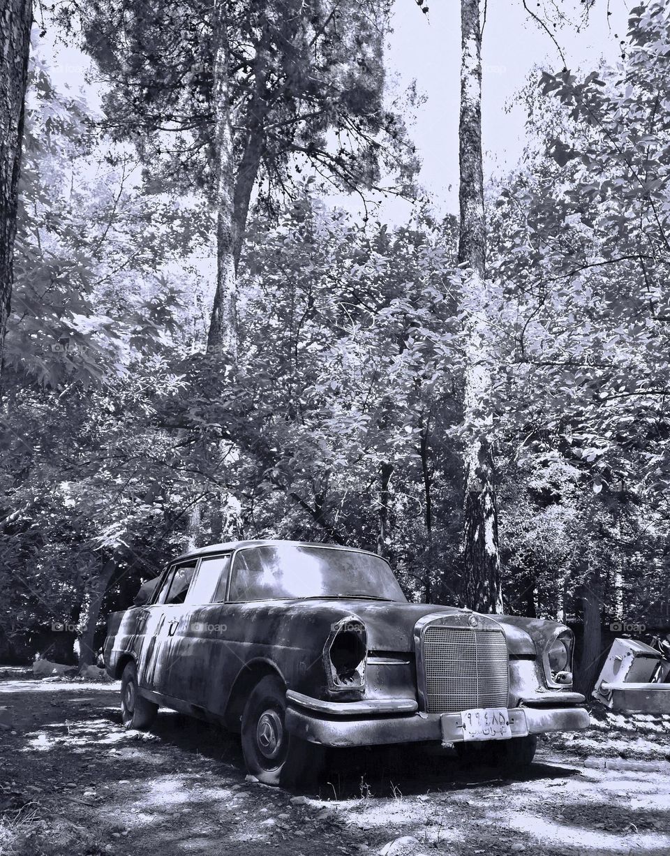 A masterpiece architecture, nice masque