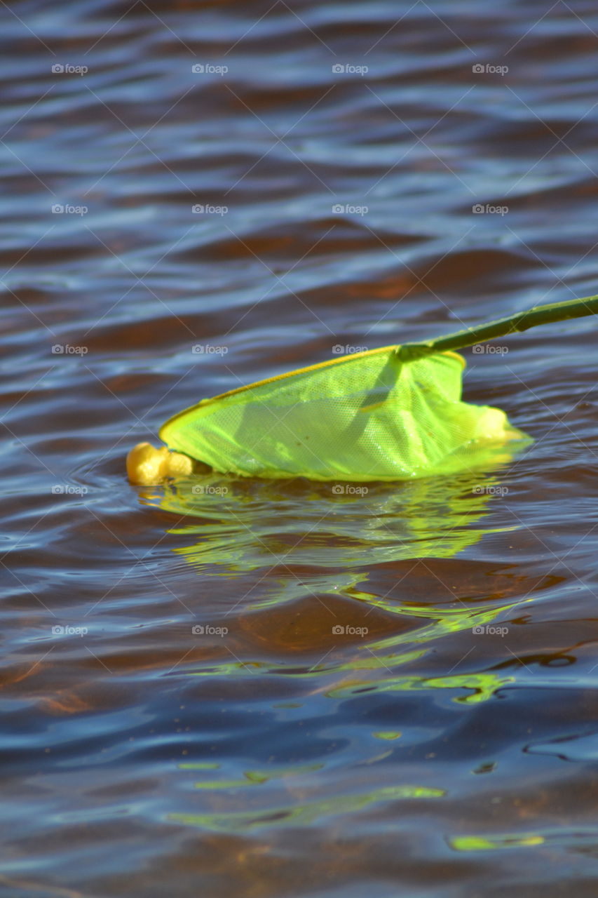 Catching a plastic duck
