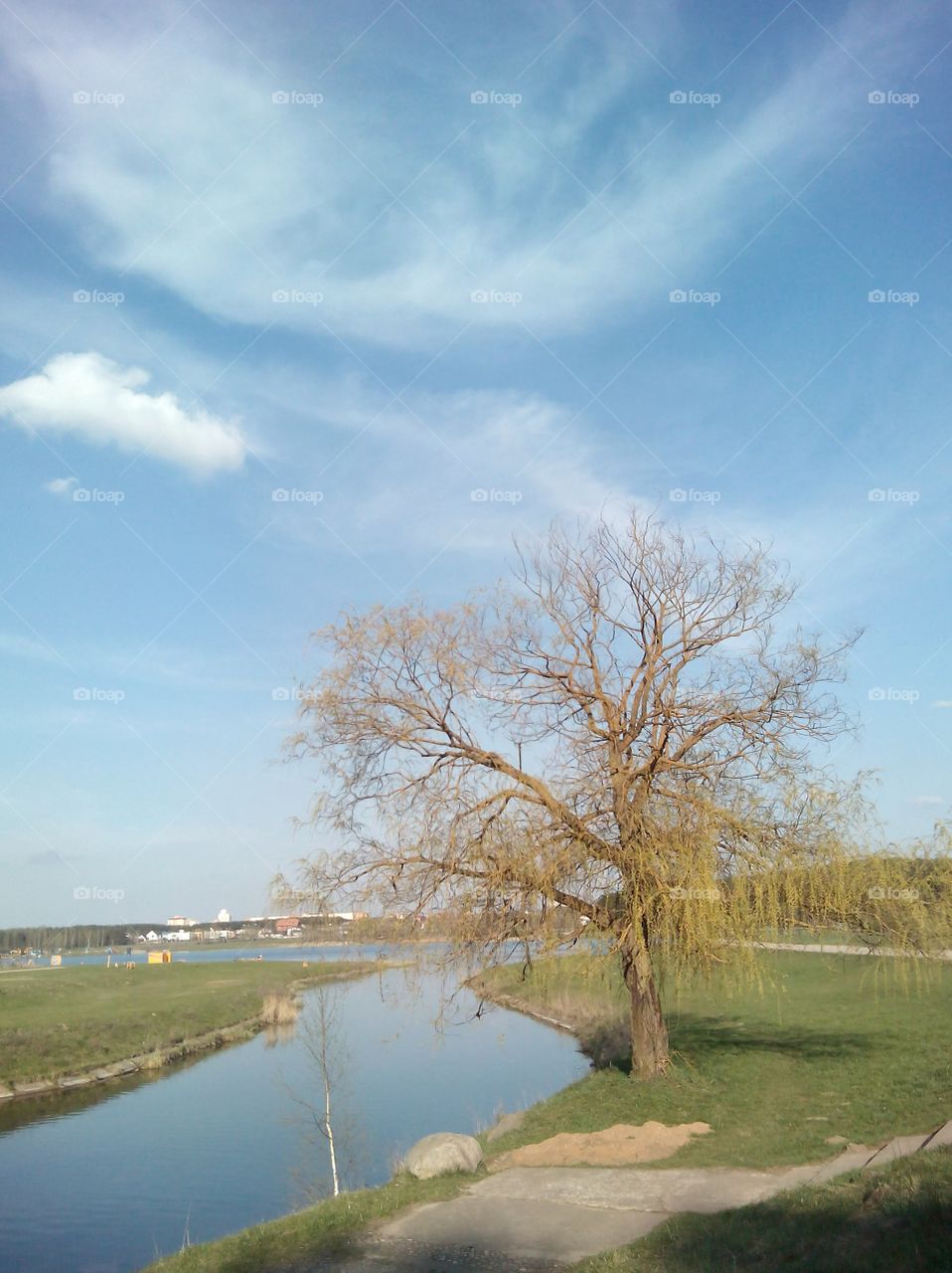 Landscape, No Person, Water, Tree, Nature