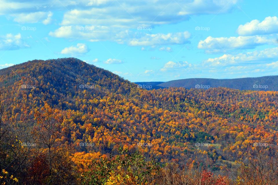 mountains in the fall #1