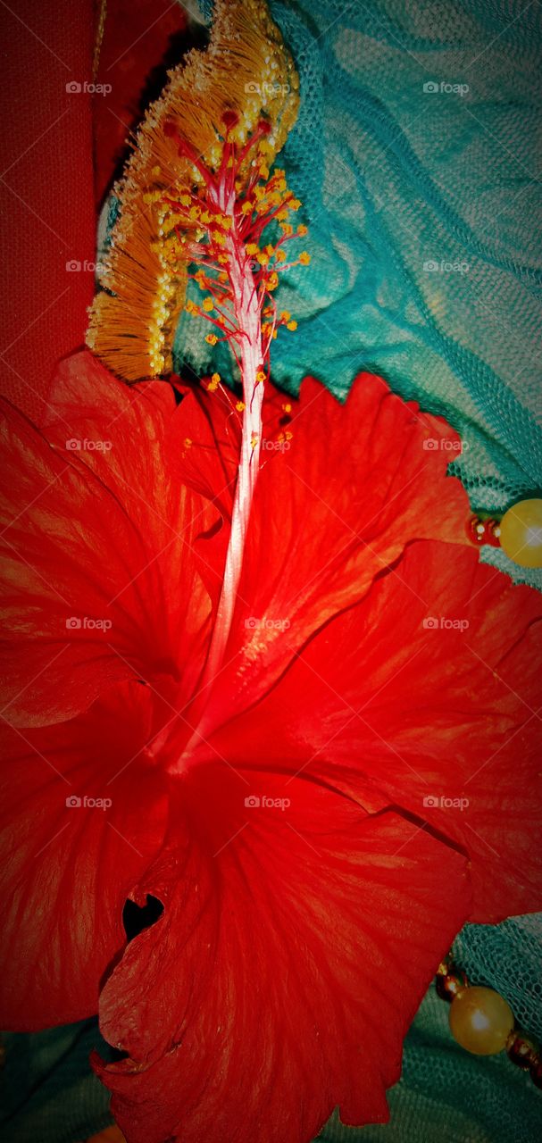 #color #folkgreen #roamtheplanet #exploretherewards #modernoutdoors #naturparkfichtelgebirge #themoderndayexplorer #moodygrams #vibesofvisuals #wekeepmoments

Copy

#liveforthestory #moodnation #mountainstories #folkscenery #travelingcapitólio #quero