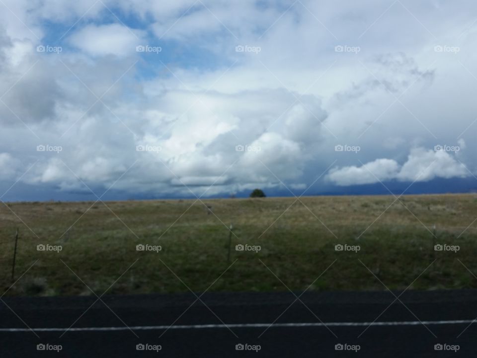 prairie and clouds