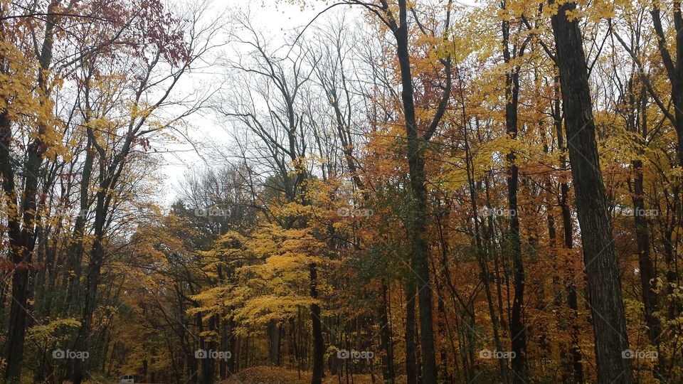Sunday Fall Drive. Fall leaves in Wisconsin