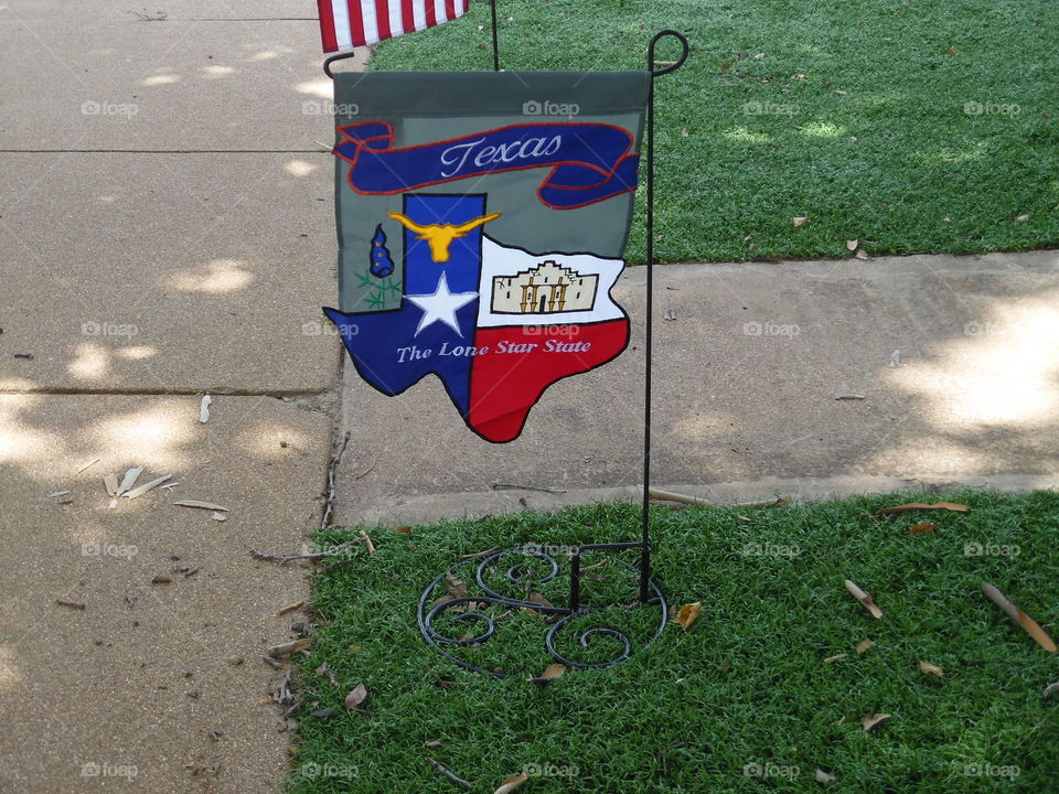 The lone star state. this is a yard sign for sale