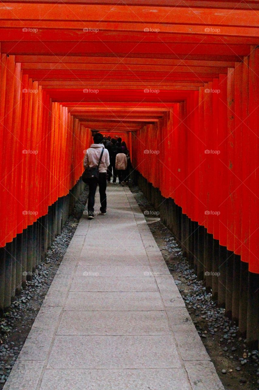 Torii gates, Kyoto, Japan