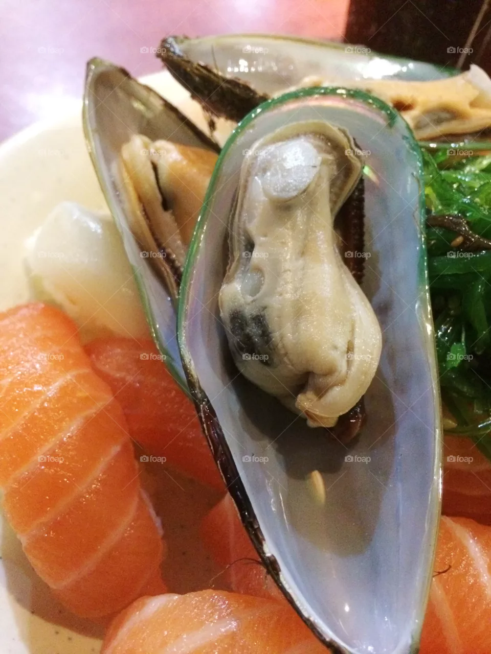 Mussel.
