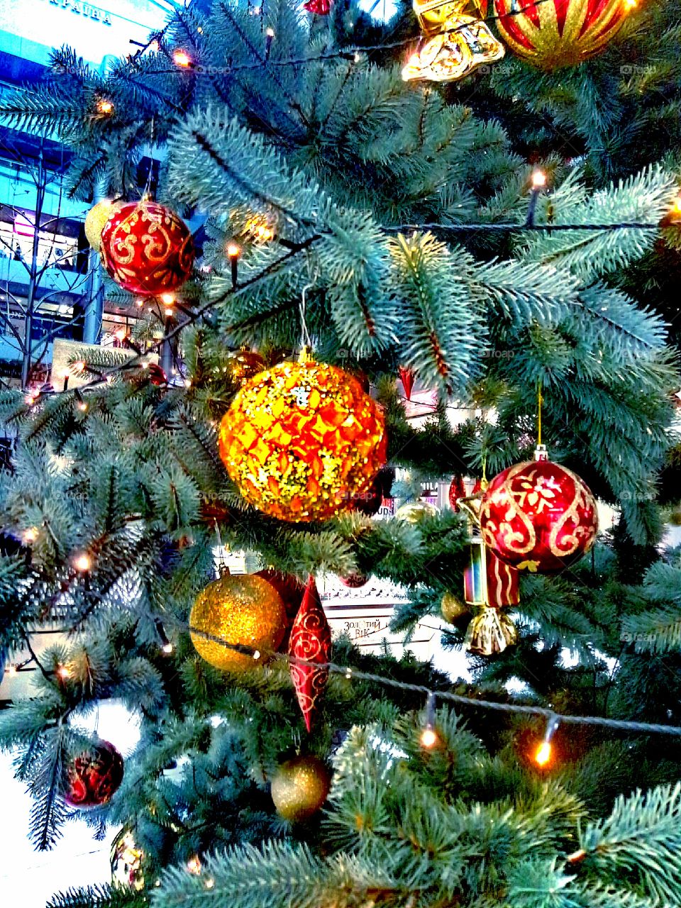 Christmas, Winter, Celebration, Decoration, Pine