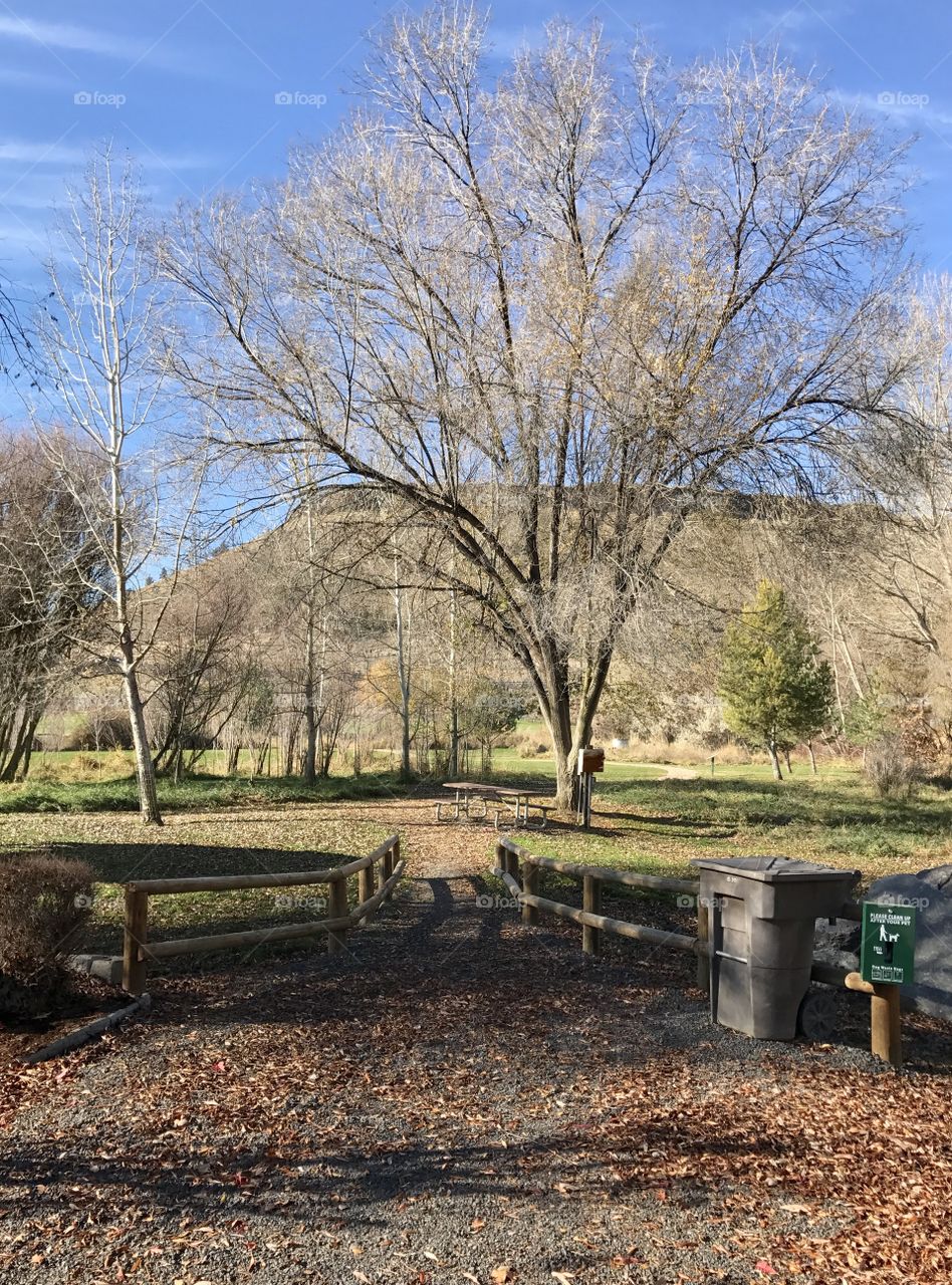 A peaceful pathway in a park in the town of Prineville in Central Oregon on a sunny fall day with trees and Ochoco Butte in the background. 