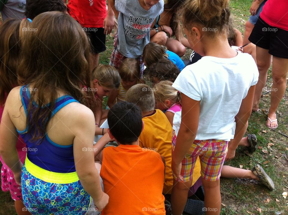 Summer camp children gathering. Summer camp children gathering around an item of interest