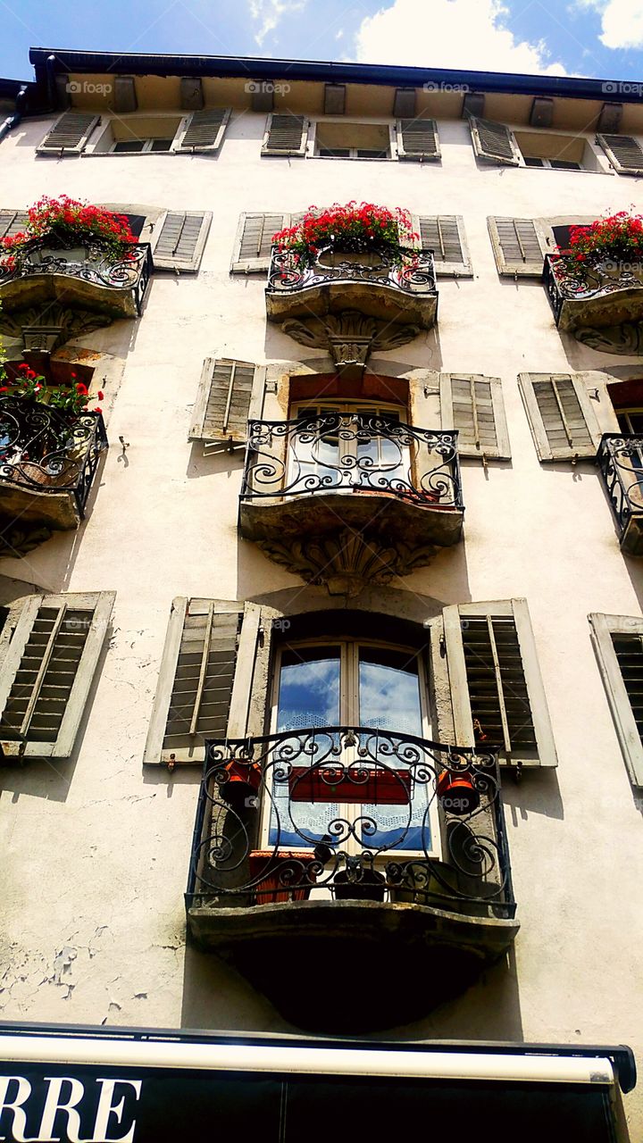 sunreflection Sun architecture house building Windows flower Sun day