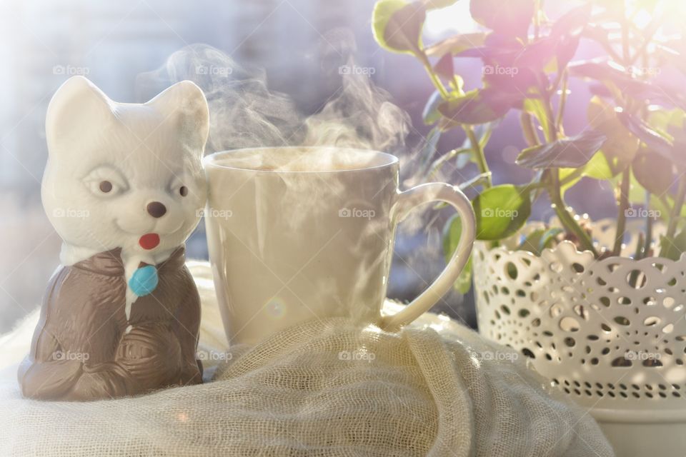 Flower, Christmas, Beautiful, Family, Relaxation