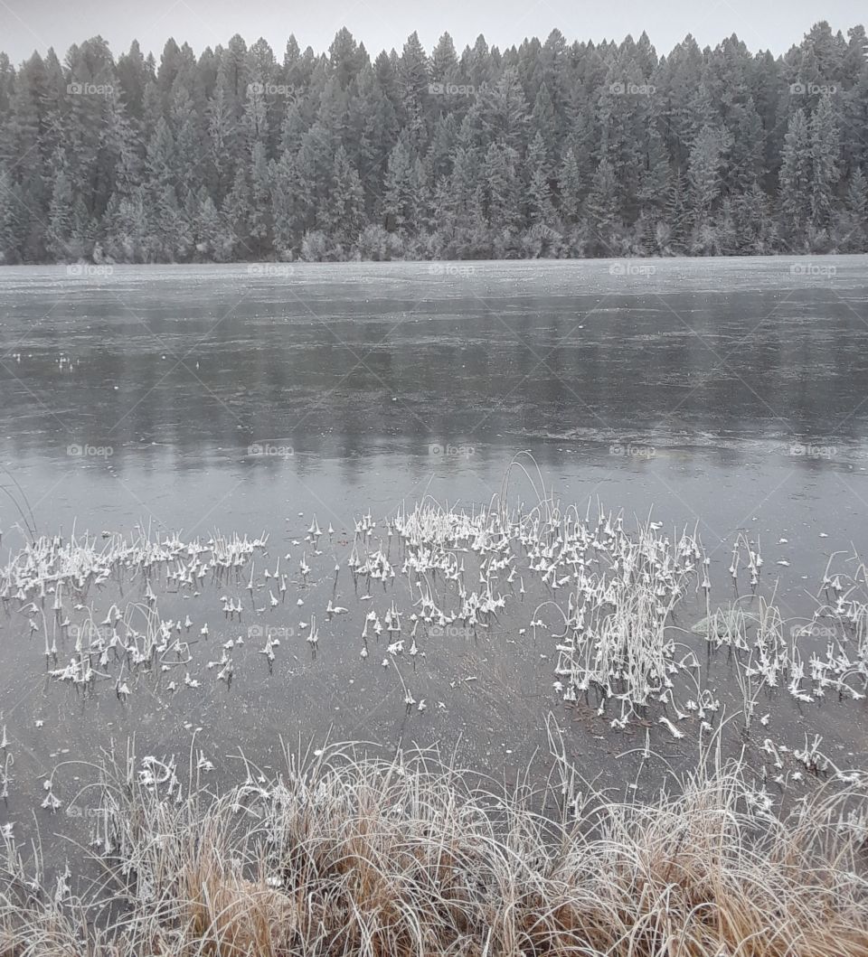 Icy Pond