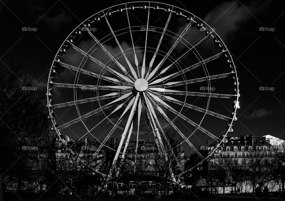 Paris Eye