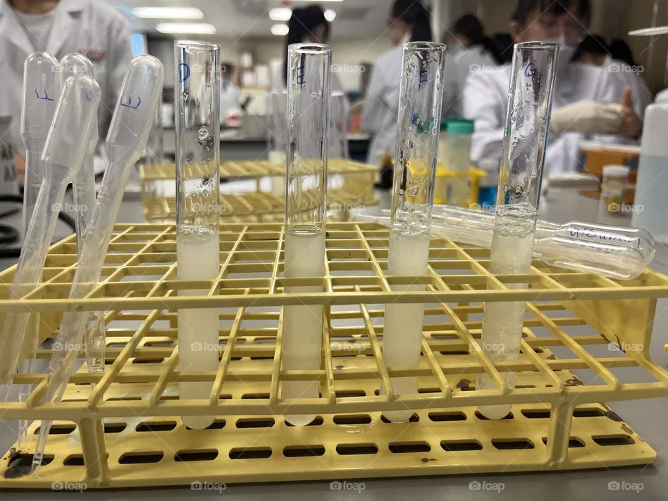 Laboratory 