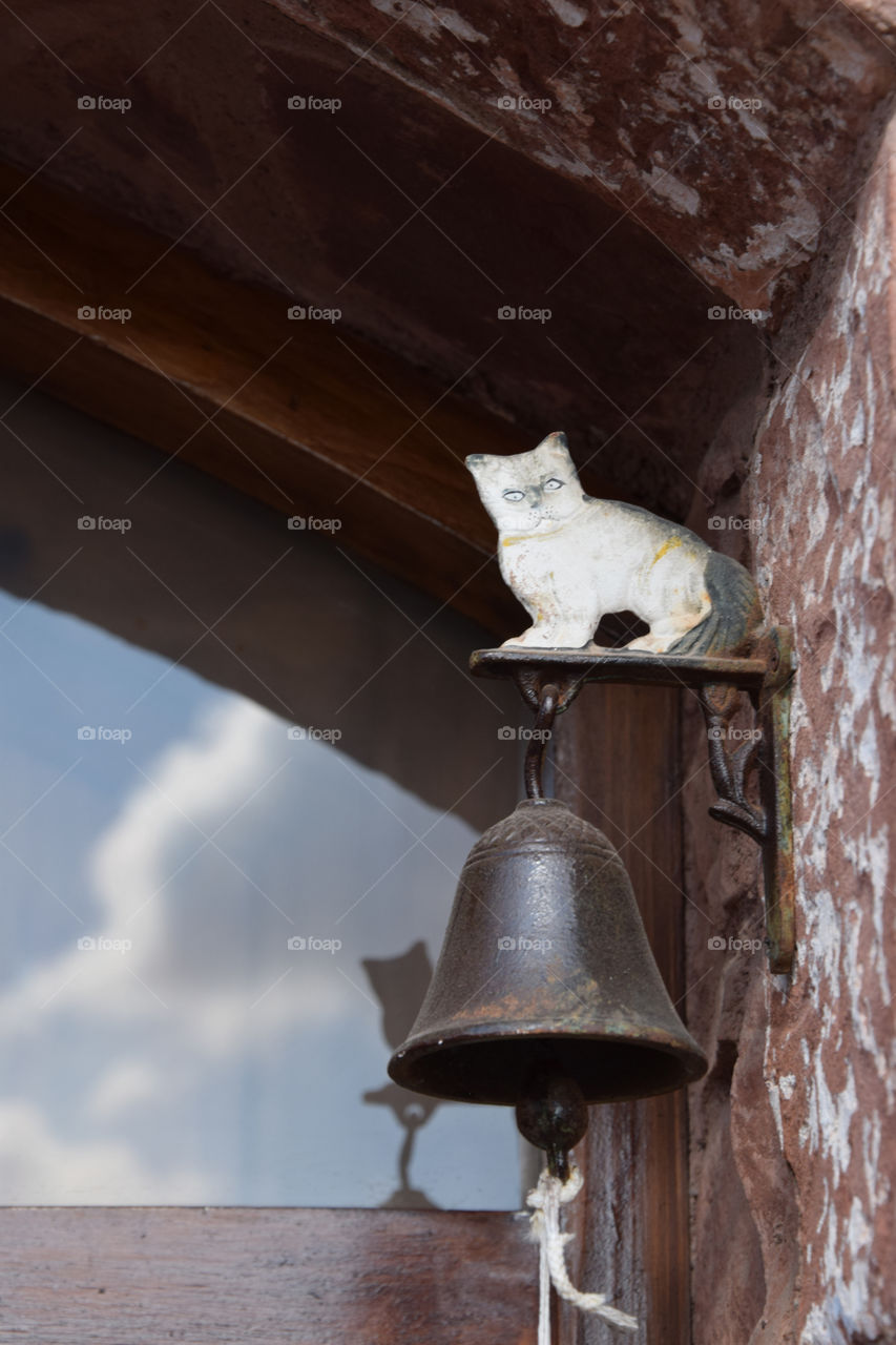 bell and cat