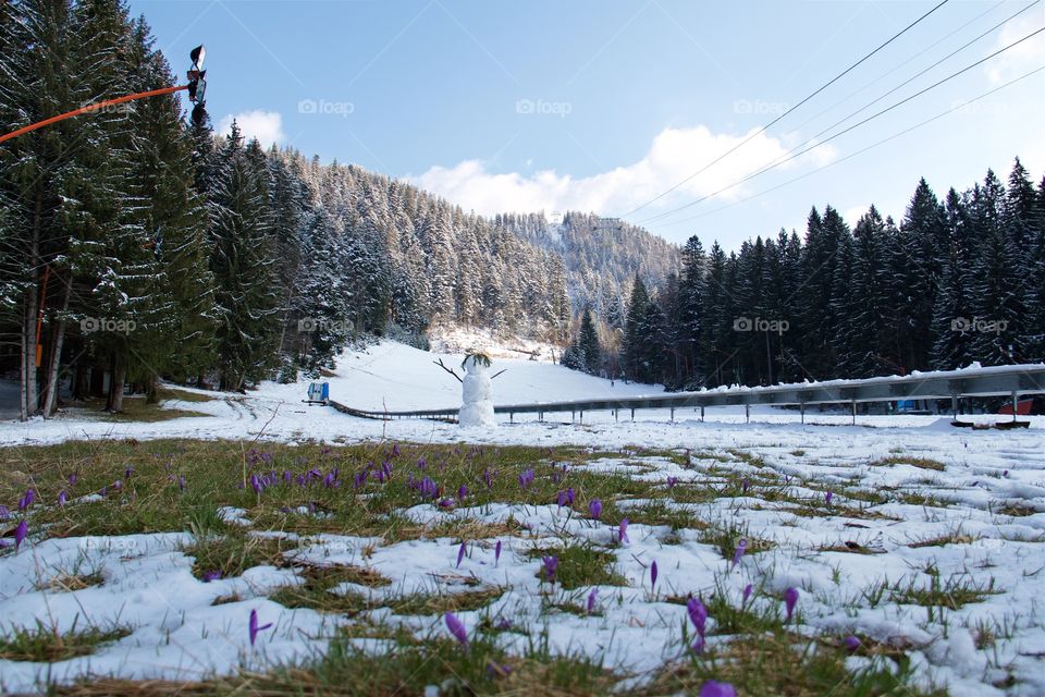 Spring in Poiana Brasov, Romania