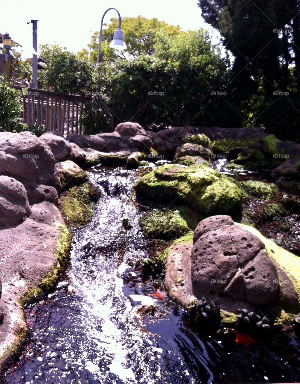 Water, summer, nature 