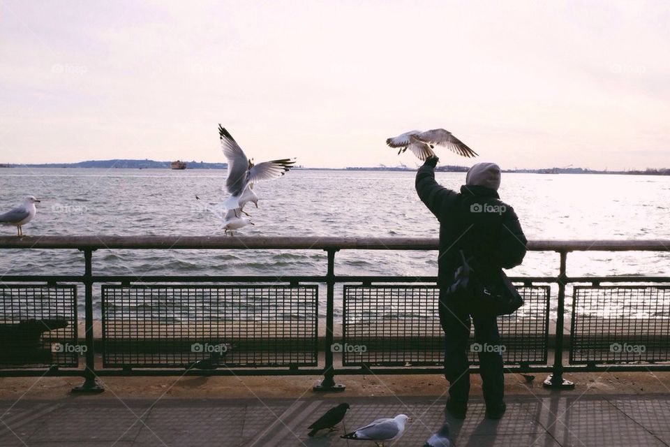 Man Feeding Birds