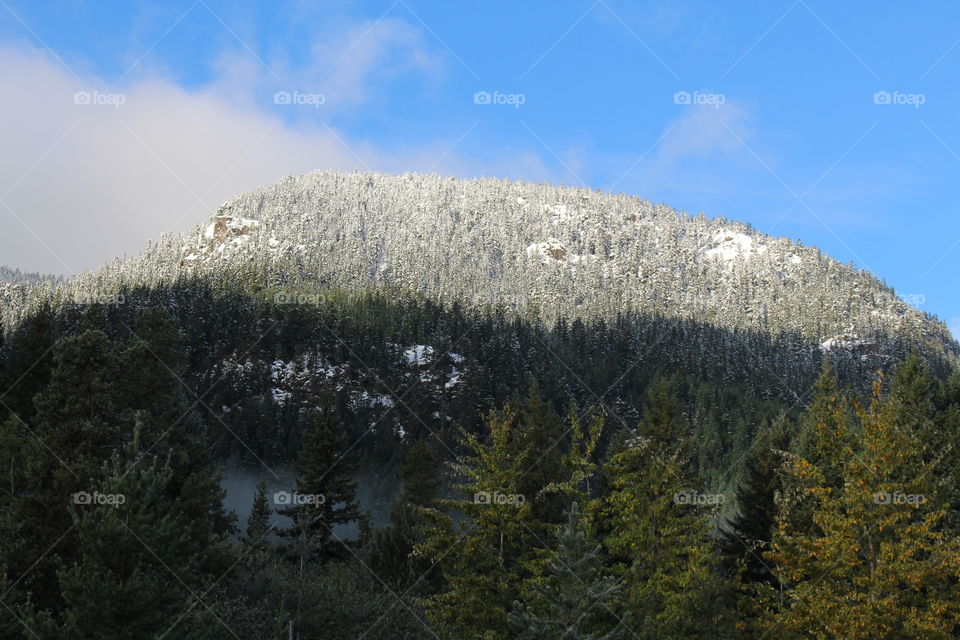 snow top in the sunrise