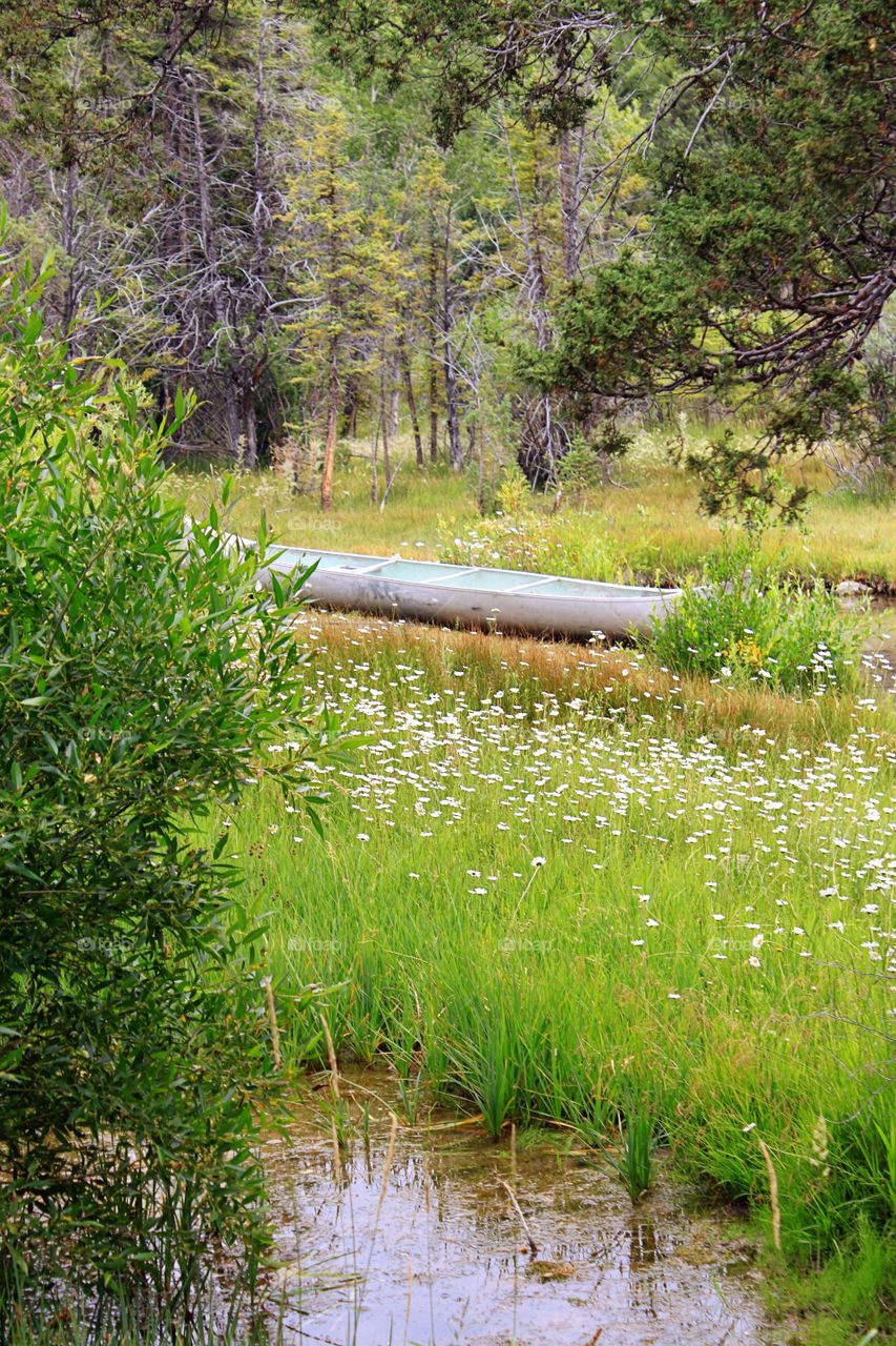 Canoe on the grassy land