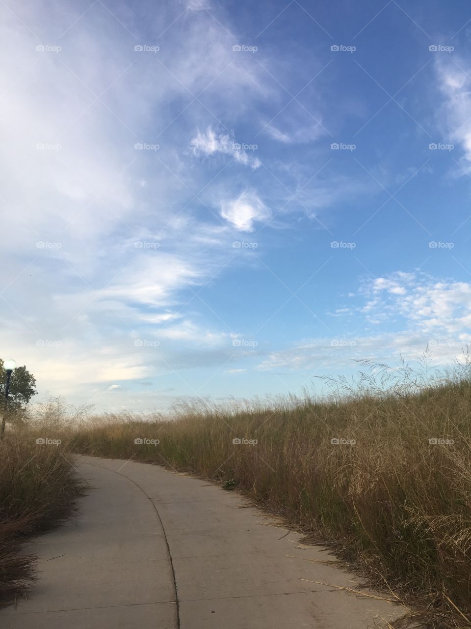 Blue sky and path