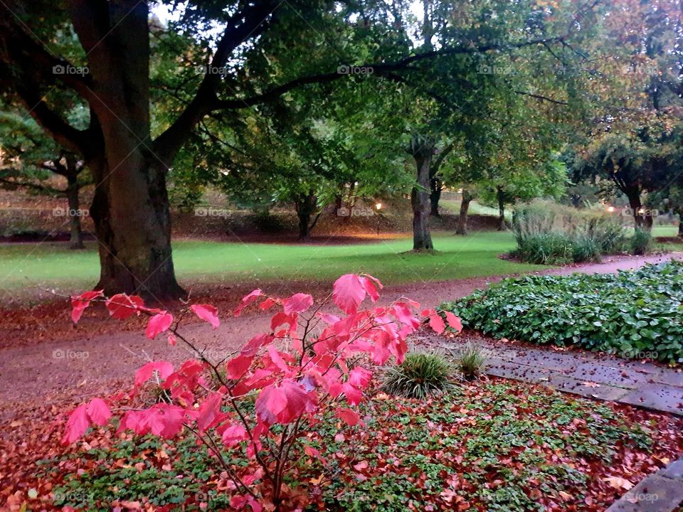 Парк в городе Фульда , Юго- Запад Германии