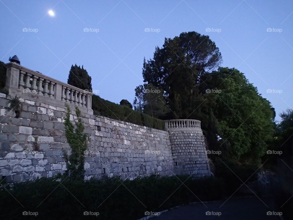 Castle moonlight 