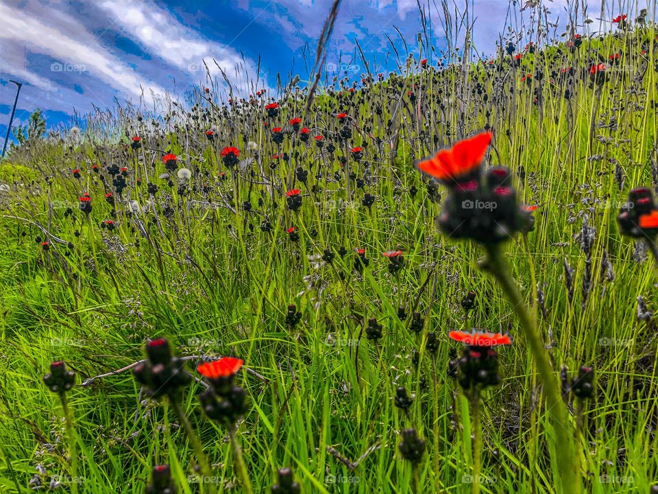 Color gives an energy to things and sometimes you feel it.