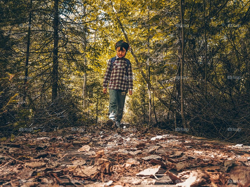 Little girl is walking in the forest