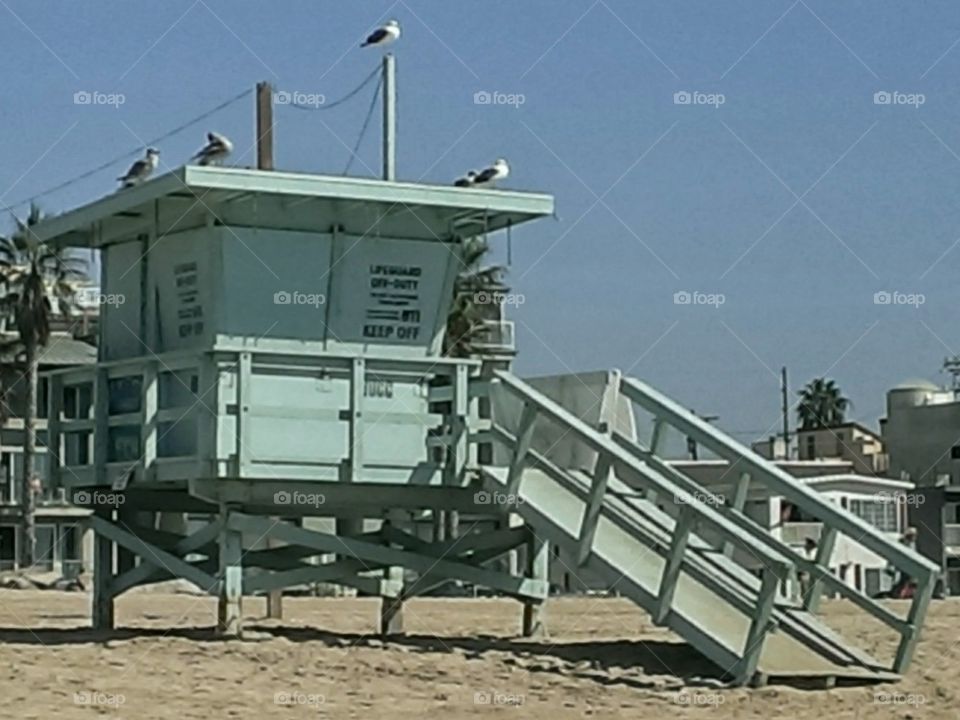 Lifeguard Stand