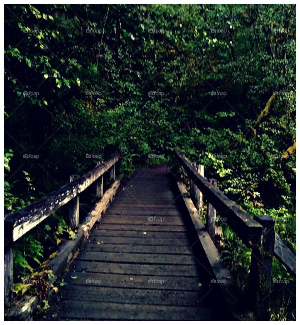 walking bridge