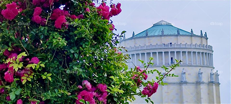 Behind the roses on the bow we see “Liberation Hall” of “Kelheim” on the “Danube” with its circular shape and Greco-Roman design built by “Ludwig I” of Bavaria to celebrate victory over “Napoleon” in the “Liberation Wars”. 2024. Hypnotic Productions