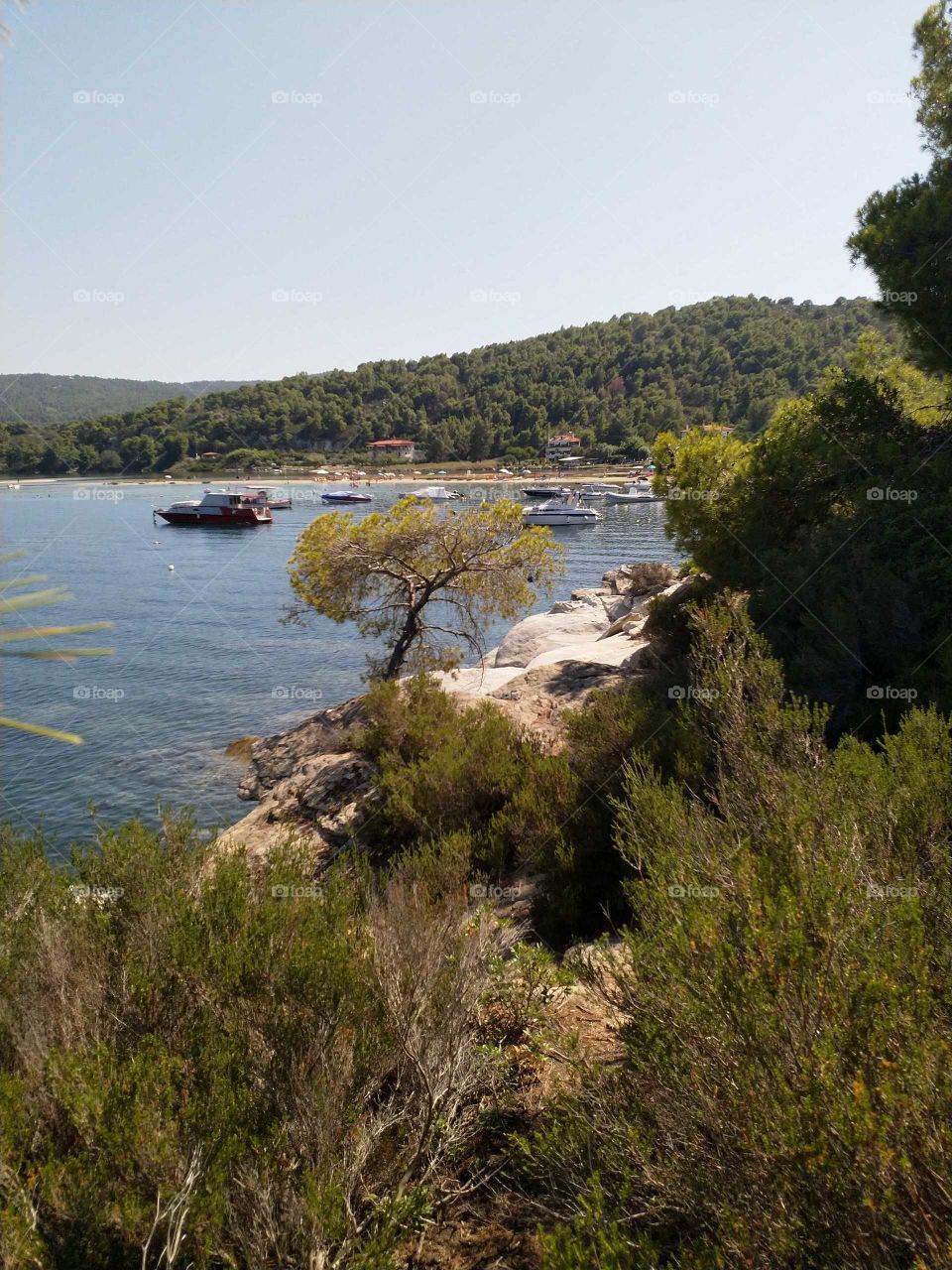 Greek summer fteroti