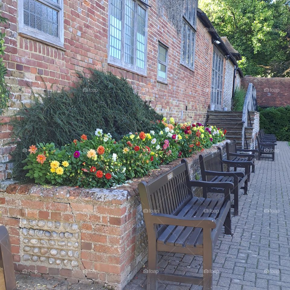summer evening park with benches in a row and flowerbeds