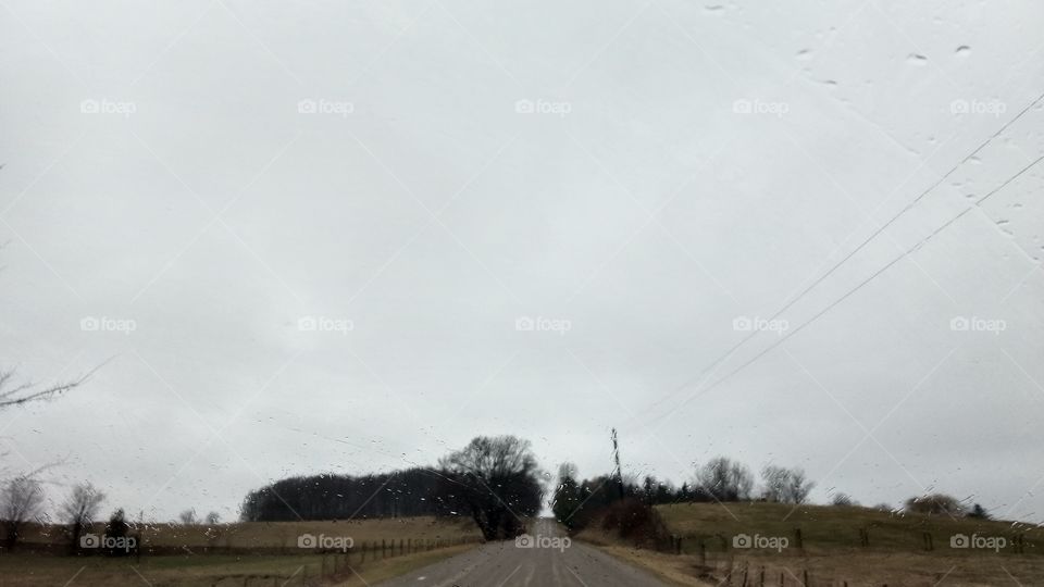 Landscape, Road, Tree, Field, Sky