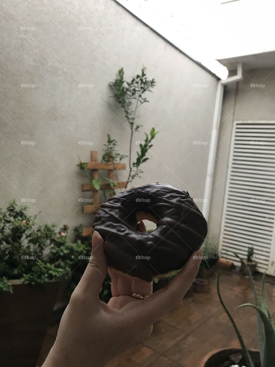 Donuts in the rain