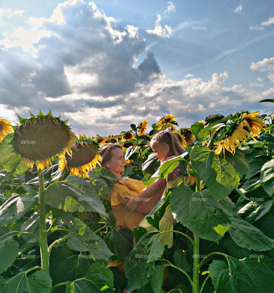 В подсолнухах