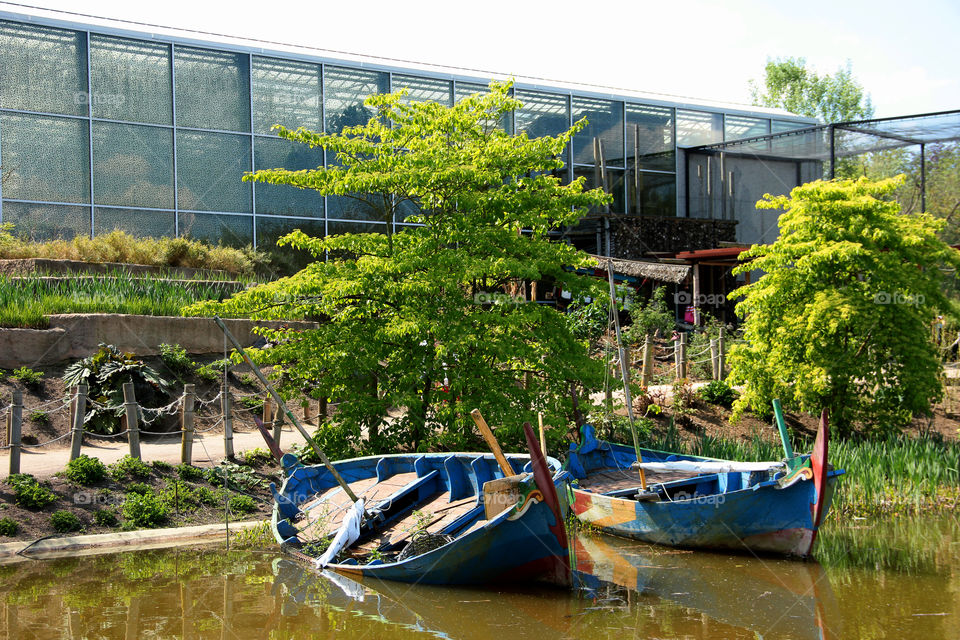 Old boats in a pond at the planckendael zoo in Belgium.