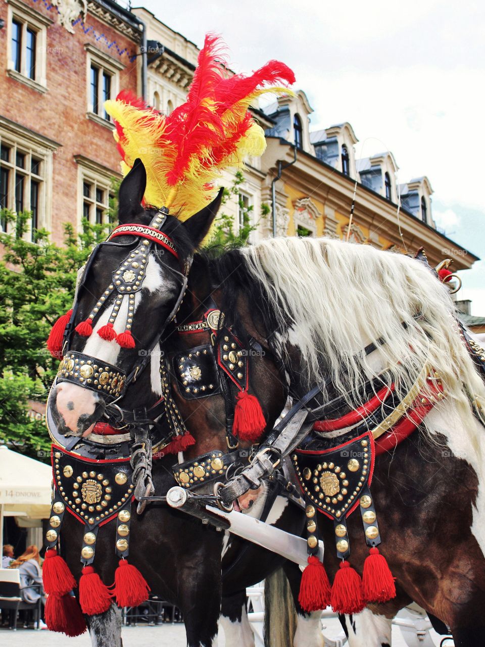 Loving horses... (Cracow) 